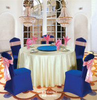 BỘ KHĂN BÀN, ÁO GHẾ, VÁY GHẾ, NƠ GHẾ SANG TRỌNG DÀNH CHO NHÀ HÀNG KHÁCH SẠN KW24-1